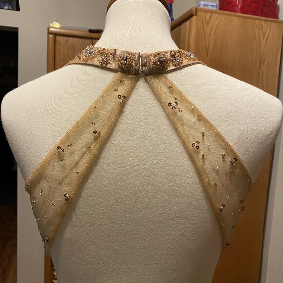 #29) Evening Gown: Bronze Dragon Princess - Picture 6 of 10